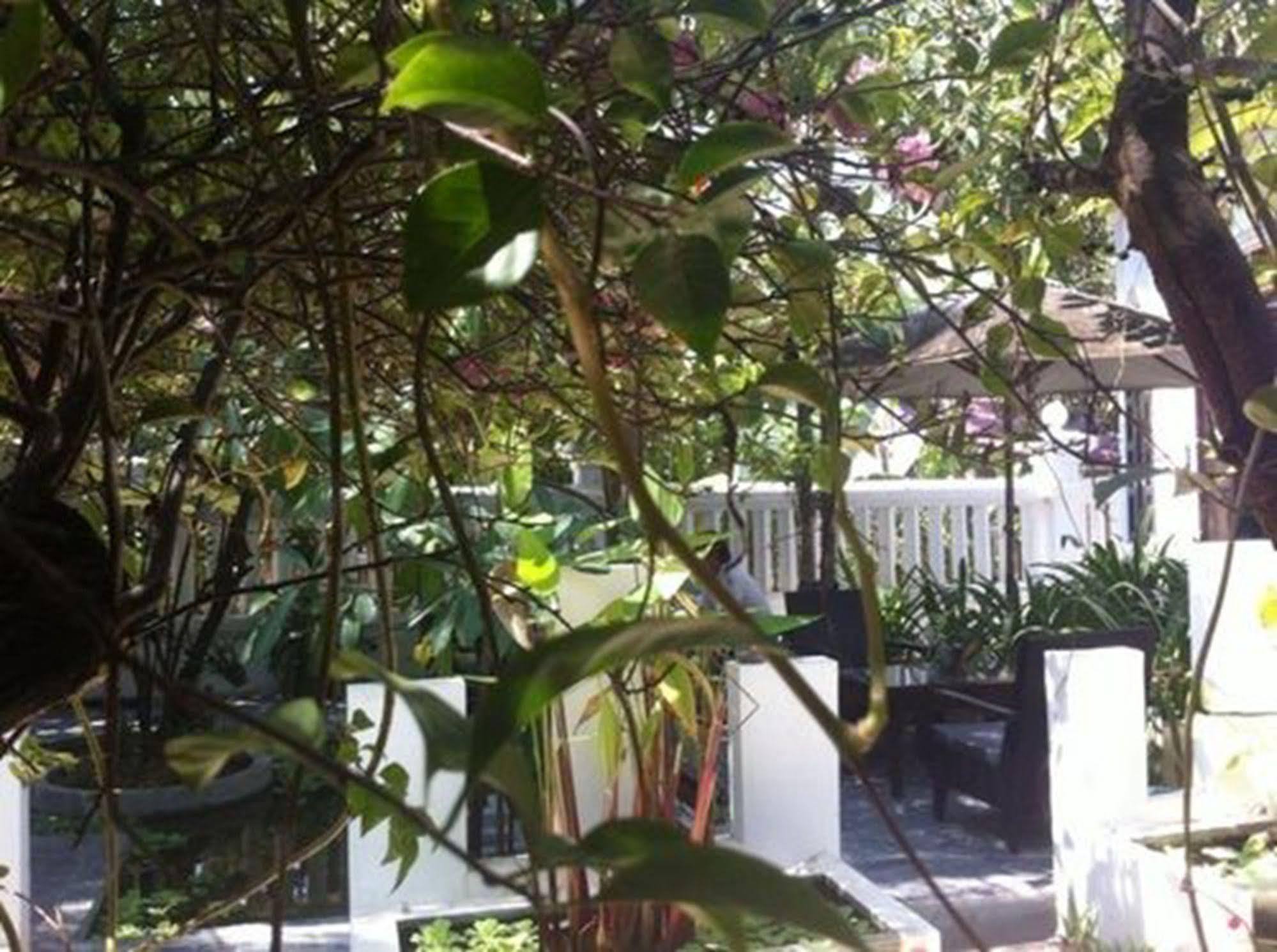 Eocambo Villa Siem Reap Ngoại thất bức ảnh